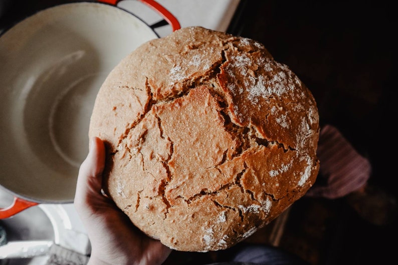 Ancient Einkorn Sourdough Starter 1/2 Cup Fresh Live