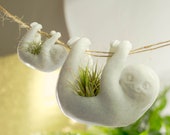 Hanging Sloth Planter - Plants Available for purchase