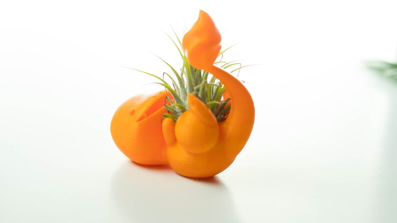 Cute Plant Pots Great For Apartment Decor And Best Friend Gifts Squirtle Inspired Pokemon Air Plant Holder