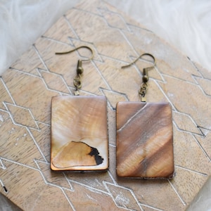 May include: A pair of brown and gold earrings with a rectangular shell design. The earrings have a simple hook closure.