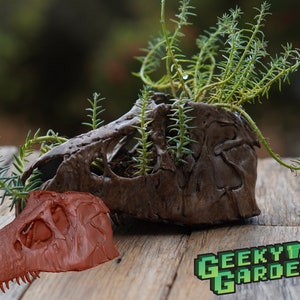 T-Rex Dinosaur Planter Print File STL