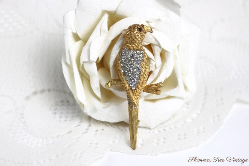 BSK Rhinestone Parrot Brooch