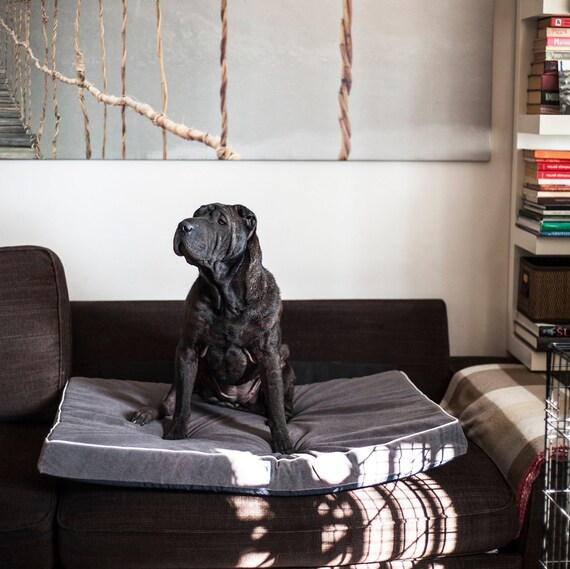 Orthopadisches Bett Fur Hund - Beste Hundebetten