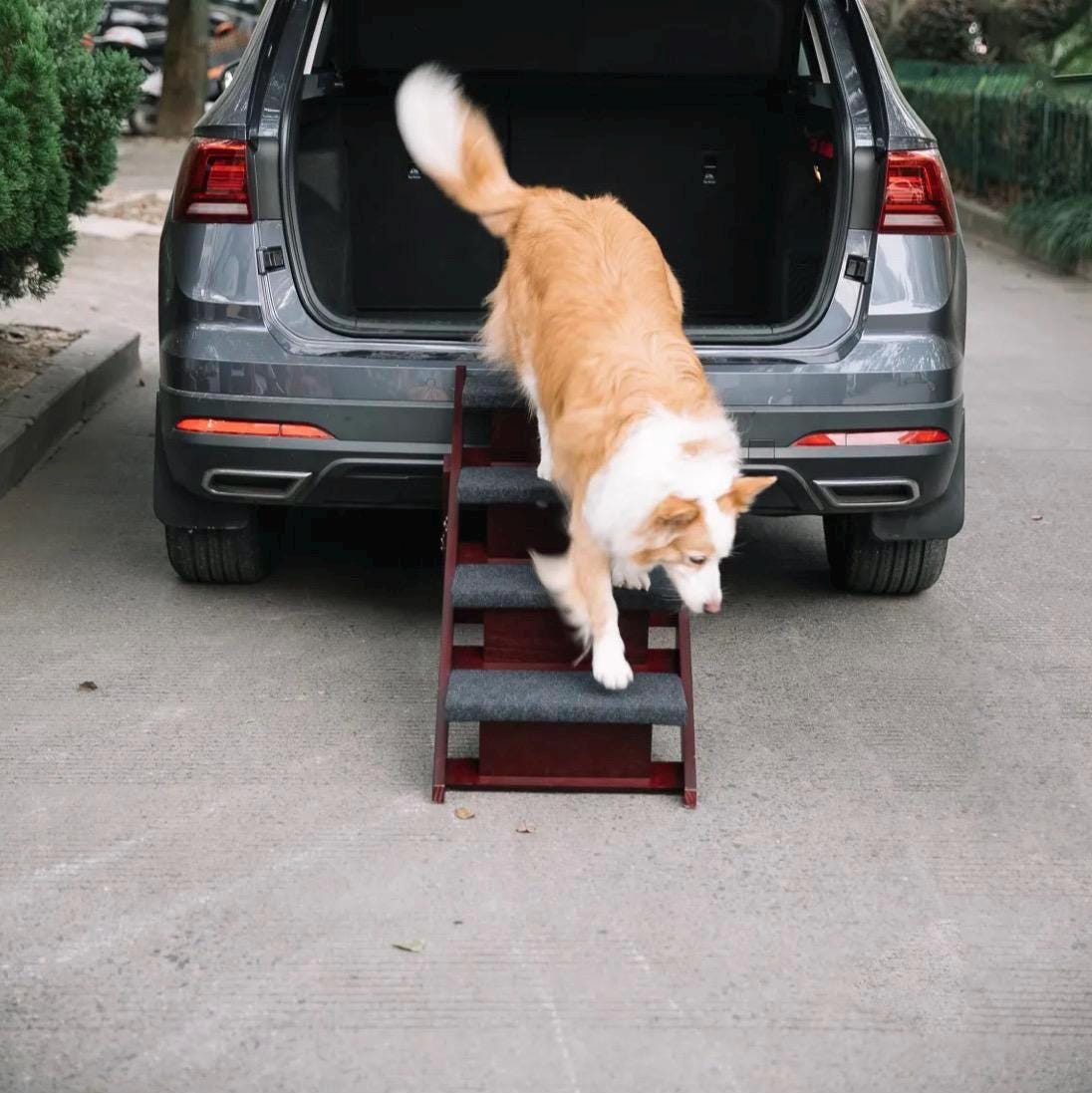 Collapsible Dog 4 step Stairs  Bed & Couch – Foldable Pet Ramp for Dogs, Cats, Seniors – Portable Non-Slip Dog Steps for Sofa Car