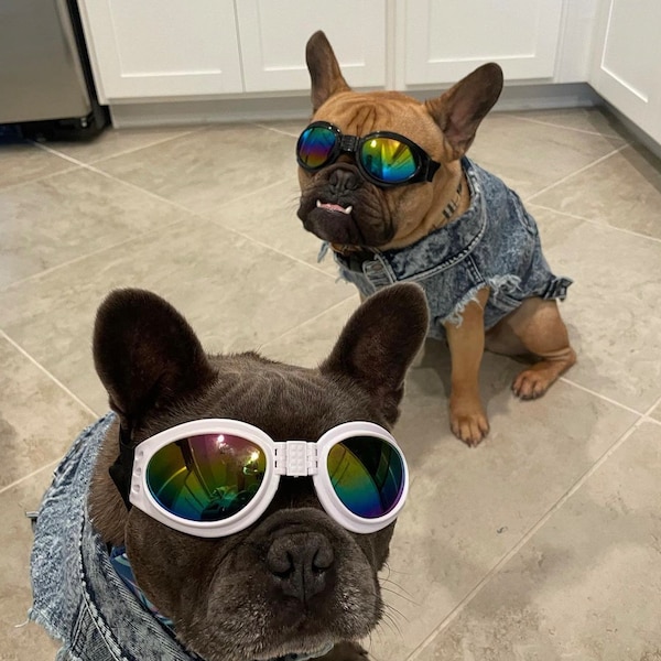Cool Dog and cat sunglasses- perfect dog goggles/doggles for small dogs-protects vision and look great!