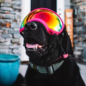 Dog Polarized and UV Proof Ski Goggles/ Sunglasses/ Wind Protection Dog Goggles with interchangeable lenses-Doggles image 1