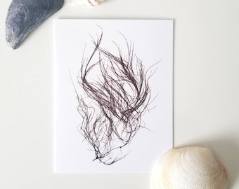 Algae print greeting card|Seaweed Print Greeting Card|Mother's Day Card|Botanical Greeting Card|Ocean greeting card