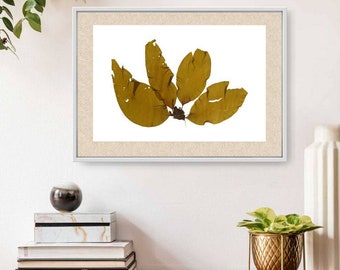 Algae Art Print, Botanical Ocean Art Print, New Brunswick Art, Coastal Farmhouse Décor, Marine Biology Gift