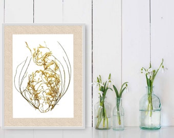 Botanical Algae PRINT–Botanical Art Print-Canadian Algae Press-Algae Pressing–Herbarium Press-Seaweed Pressing-Pressed Seaweed-Algae Art