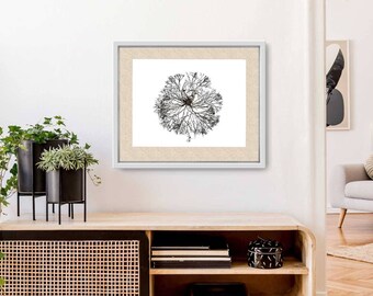 Botanical Algae PRINT–Botanical Art Print-Canadian Algae Press-Algae Pressing–Herbarium Press-Seaweed Pressing-Pressed Seaweed-Algae Art