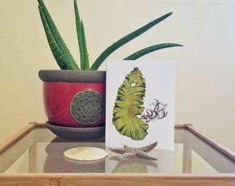 Seaweed Mothers Day Greeting Card|Algae Print Greeting Card|Botanical Greeting Card|New Brunswick Greeting Card|Ocean Greeting Card