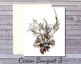 Prince Edward Island Card | Holiday Card | Seaweed Greeting card | Botanical Greeting Card | Algae Print | Seaweed Print