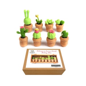 8 Pack Cactus Needle Felting Kits for Beginners Present for Mother's Day Grandma