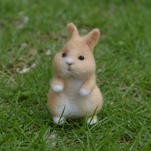 Easter Rabbit Needle Felting Kit for Beginners - DIY Craft Kit for Christmas Felt Kit