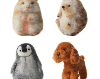 Animal World Needle Felting Kit for Beginners – DIY Craft Project