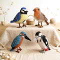 4 Bird Options Needle Felting Kits for Beginners Full Kit DIY a Bird Christmas Gift product logo