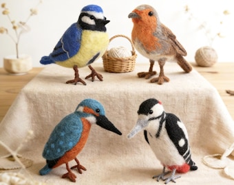 4 Bird Options Needle Felting Kits for Beginners Full Kit DIY a Bird Christmas Gift