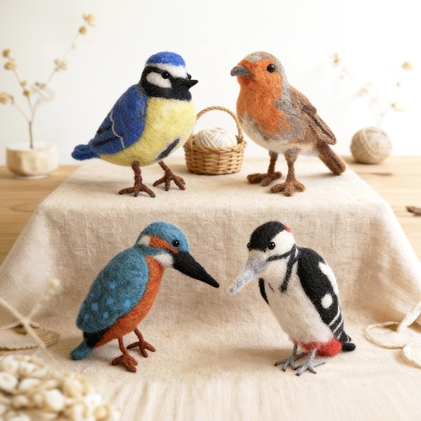 4 Bird Options Needle Felting Kits for Beginners Full Kit DIY a Bird Christmas Gift
