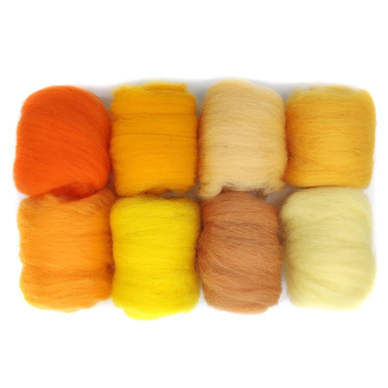 8 Pack Needle Felting Wool Roving 10g X 8 Color Total 80g Etsy