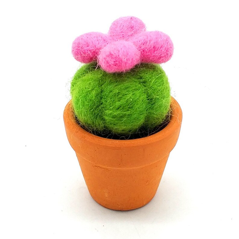 3 Pack Cactus Needle Felting Kits Christmas Gift Felting Etsy