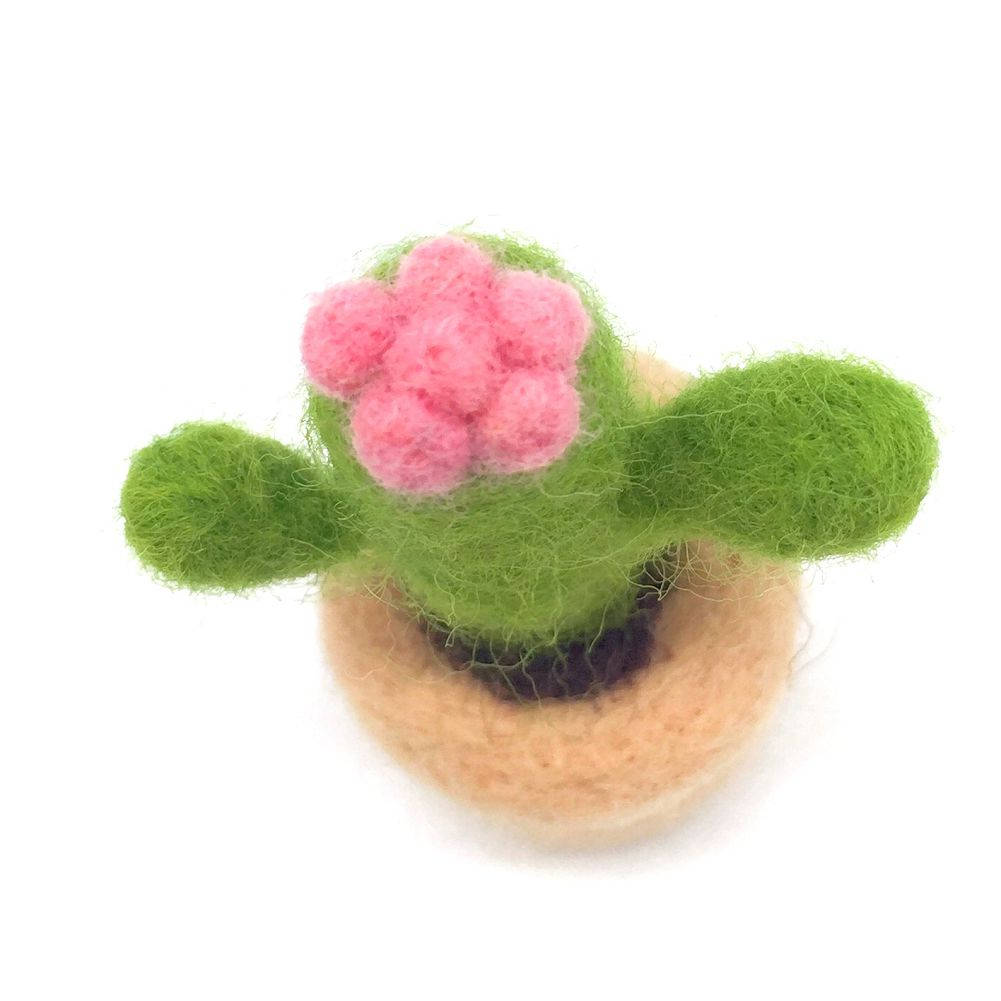 Cactus Needle Felting Kit 1x2.5inch Fun for Beginner Etsy