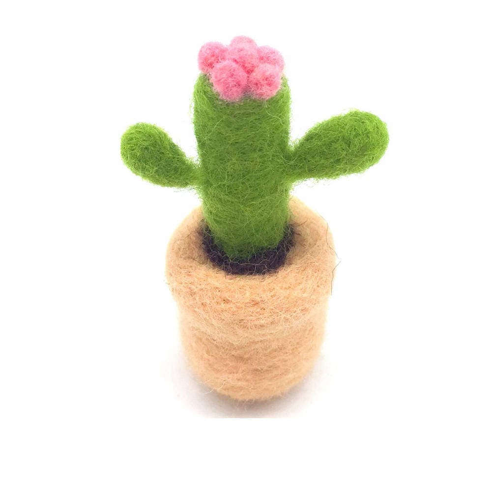 Cactus Needle Felting Kit 1x2.5inch Fun for Beginner Etsy
