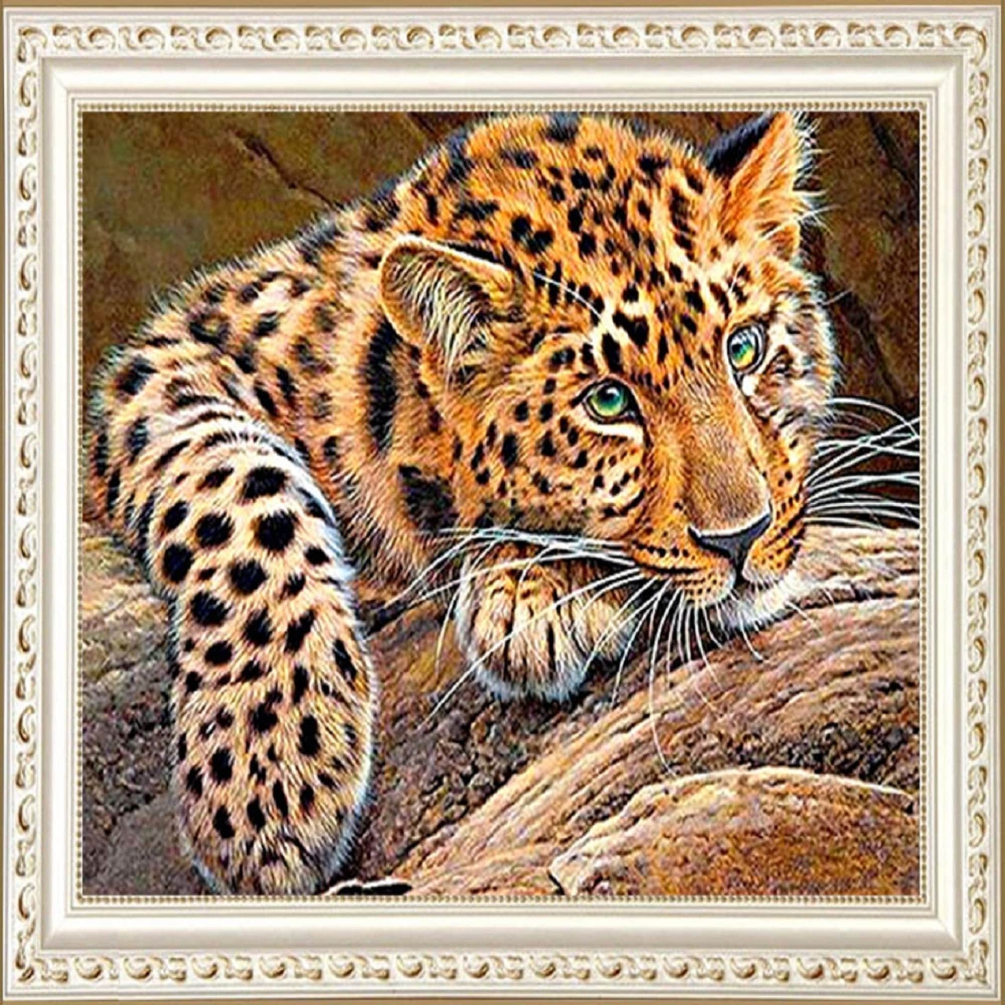 5D Diamond Painting by Number Kits for Adults Diymood Painting The Cat and The Horse Paint with Diamonds Arts Full Drill Decor Craft 30x40cm 12x16inch