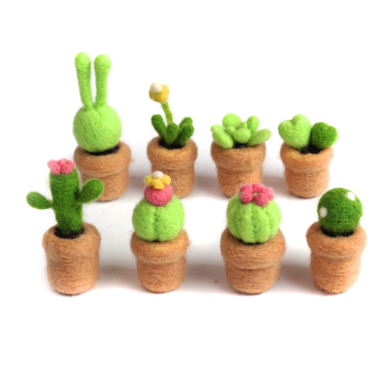 8 Pack Cactus Needle Felting Kits for Beginners Present for Mother's Day Grandma image 2