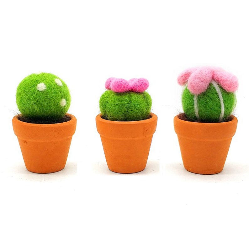 3 Pack Cactus Needle Felting Kits Christmas Gift Felting Etsy