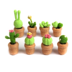 9 Needle Felting Kits Craft Kit for Mother&#39;s Day, Grandma - Easy for Beginner Craft Kits