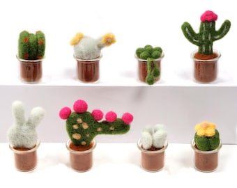 Cactus Needle Felting Kit – 8 Pack, DIY Craft Project