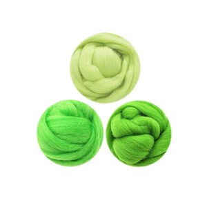 300g Felting Wool Roving Set 3 Colors (70s 19um Grade) Needle Felting Diy Green Series Wool for Needle Felting Kit