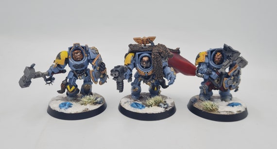 A*k様 Warhammer 40k スペースウルフ 3種 塗装済み完成品ハイグ ウォー