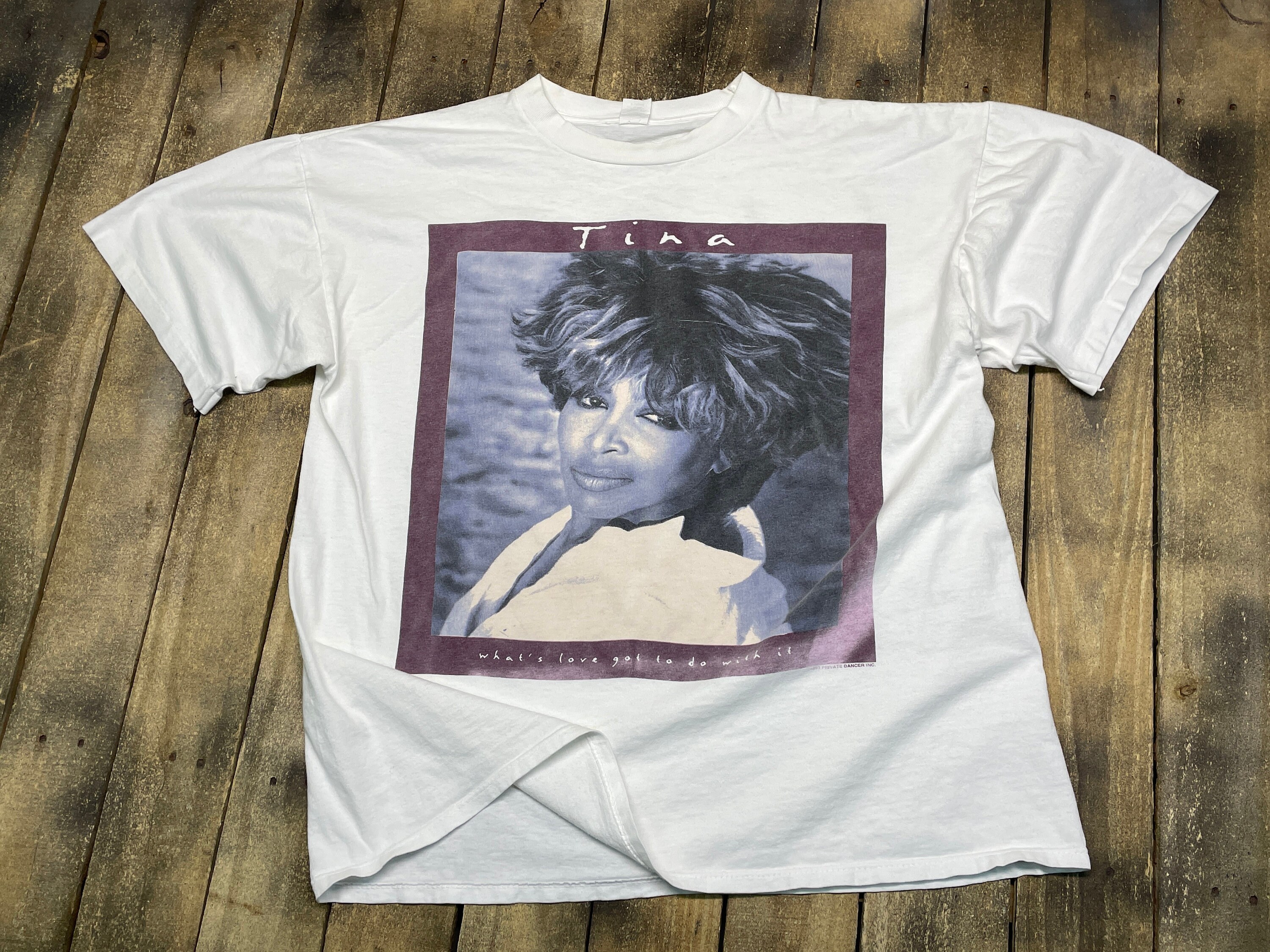 格安限定品 Tina Turner ティナ ターナー 90s ヴィンテージ tシャツの