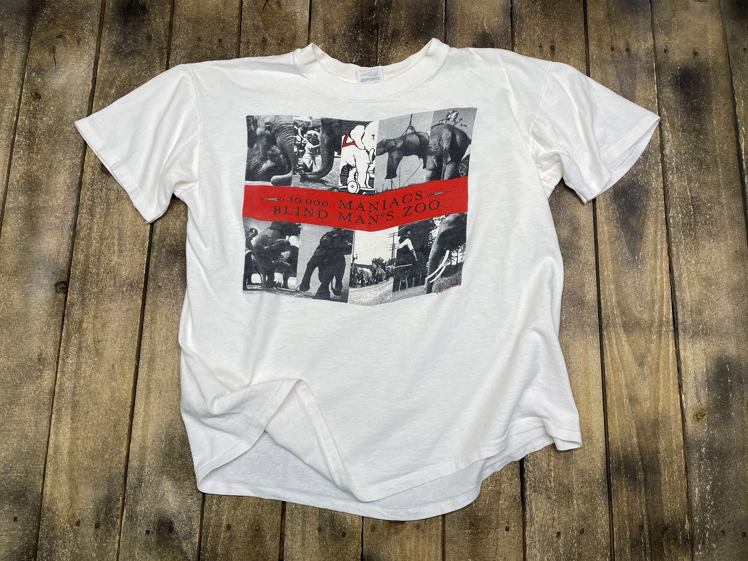 M * vintage 80s 1989 10,000 Maniacs blind mans zoo t shirt M * vintage 80s 1989 10,000 Maniacs blind mans zoo t shirt