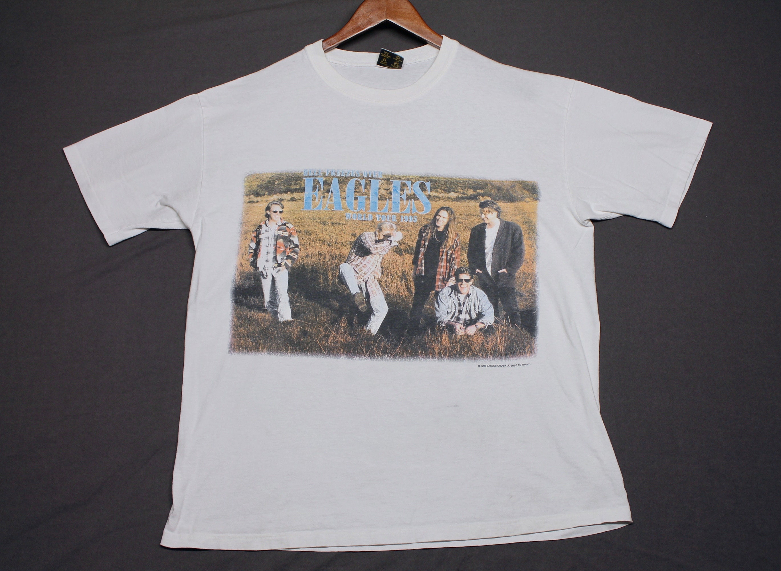 XL * vtg 90s 1995 THE EAGLES Hell Freezes Over concert tour XL * vtg 90s 1995 THE EAGLES Hell Freezes Over concert tour