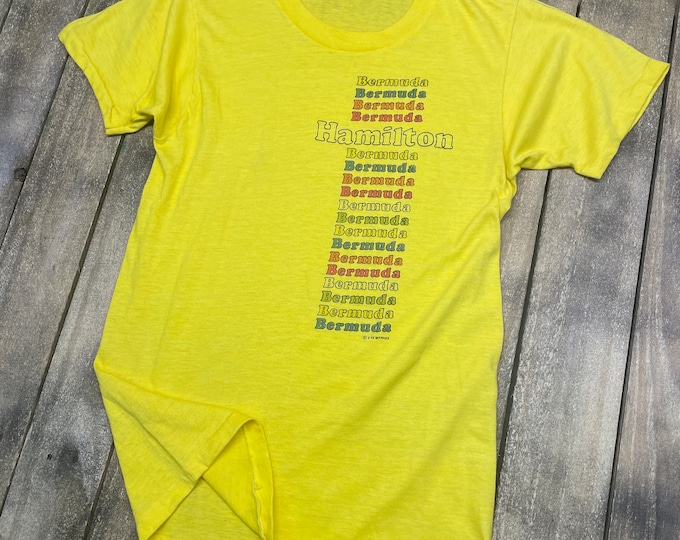 S * vintage 70s Hamilton BERMUDA rainbow tourist t shirt * 53.154