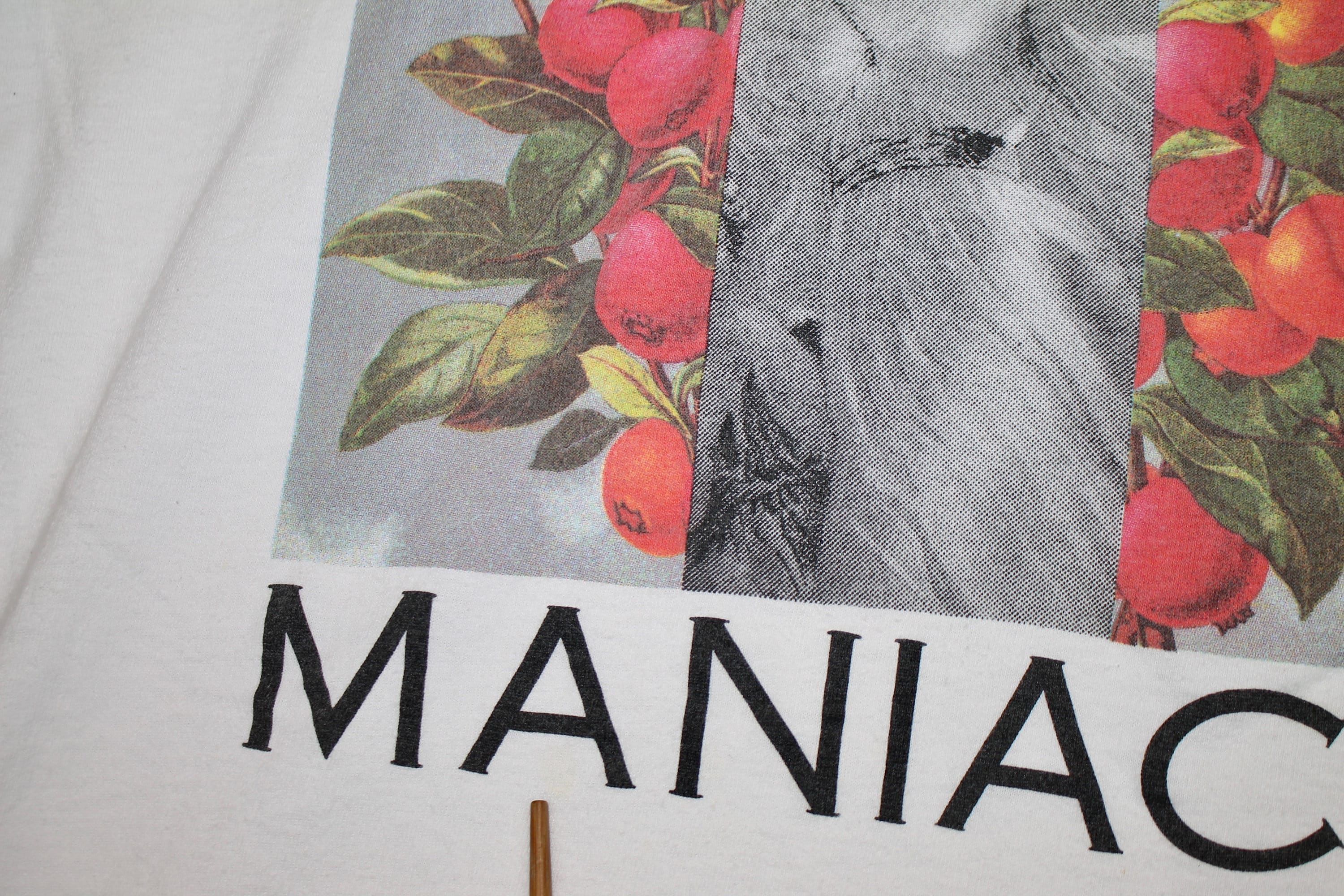 L * vtg 90s 1993 10000 Maniacs our time in eden t shirt * 15.156