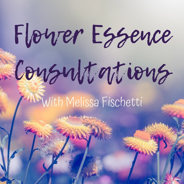 Flower Essence Consultation / Flower Essence Consult / Flower Essences / Gem Essence Consult / Flower Essence Therapy / Gem Essences