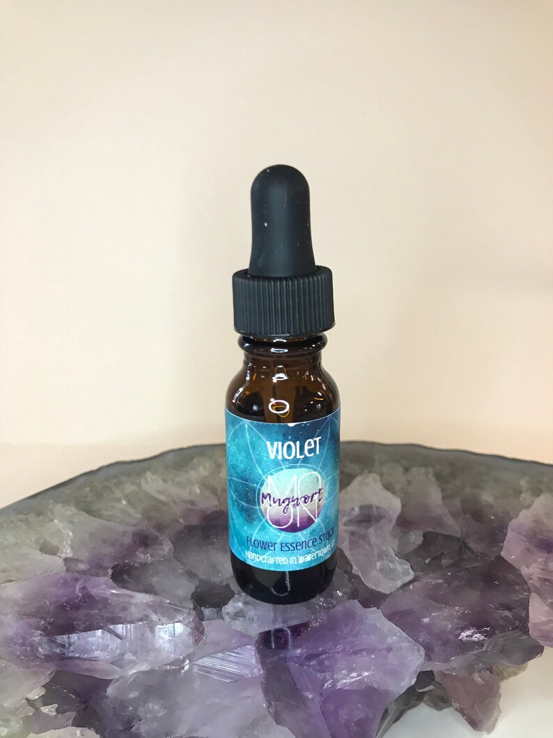 Violet Flower Essence / Violet / Flower Essence / Vibrational Etsy