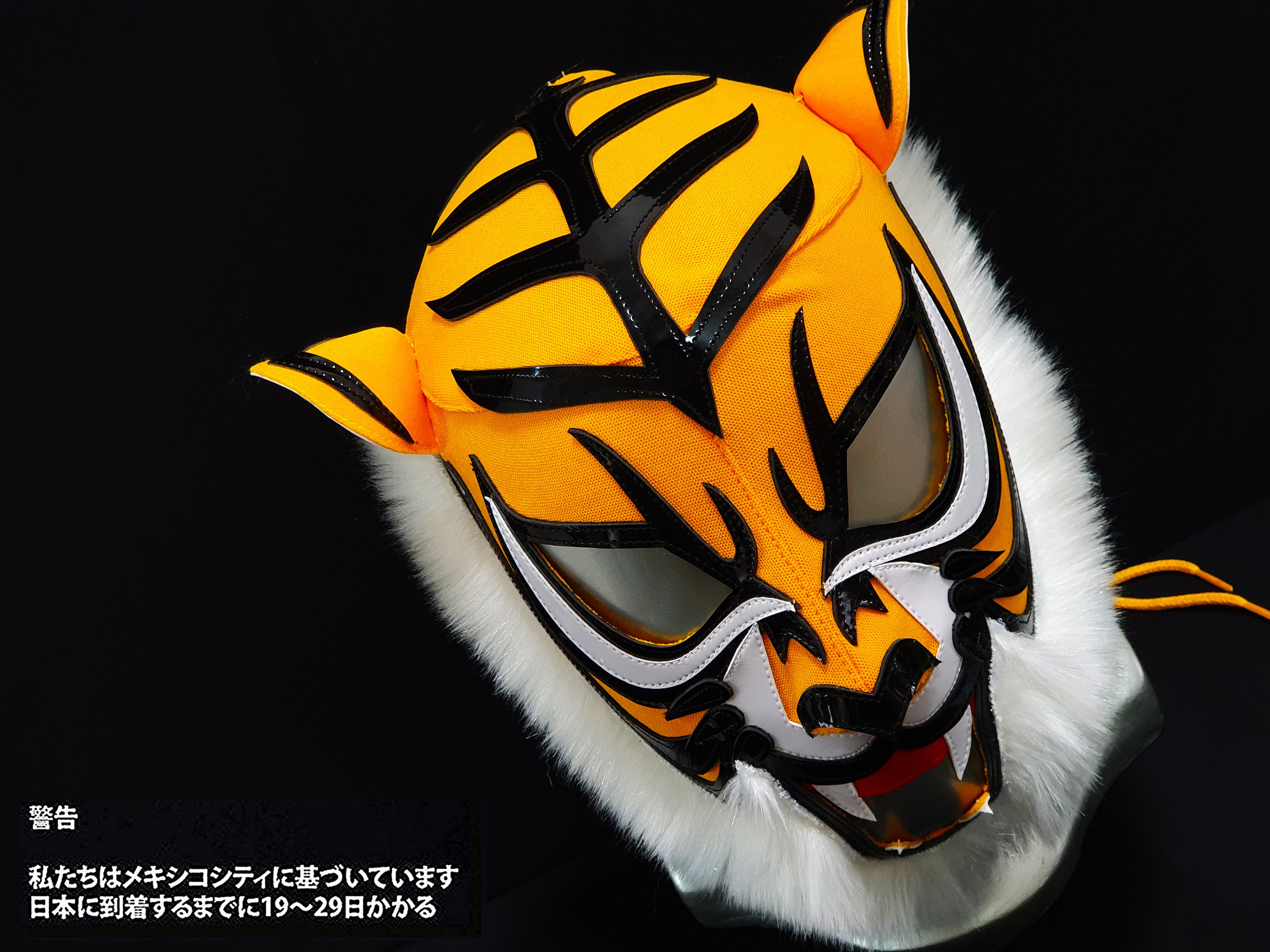 Lucha Libre Mask Lucha Libre Mask