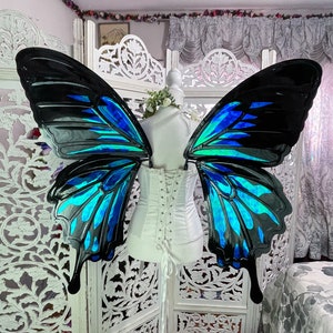 MADE TO ORDER Ulysses Swallowtail Butterfly Fairy Wings