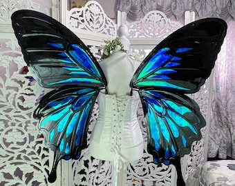 Könnte beinhalten: Ein Paar große, schillernde blaue und schwarze Schmetterlingsflügel. Die Flügel sind an einem weißen Korsett befestigt und werden auf einer weißen Schaufensterpuppe präsentiert.