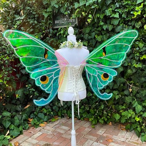 MADE TO ORDER Large Luna Moth Fairy Wings