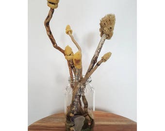 Artist Sponge Paintbrush Set Watercolour Unique Gift Set Artists Students Driftwood Sustainable Set of Three Sponge Recycled Costal Decor