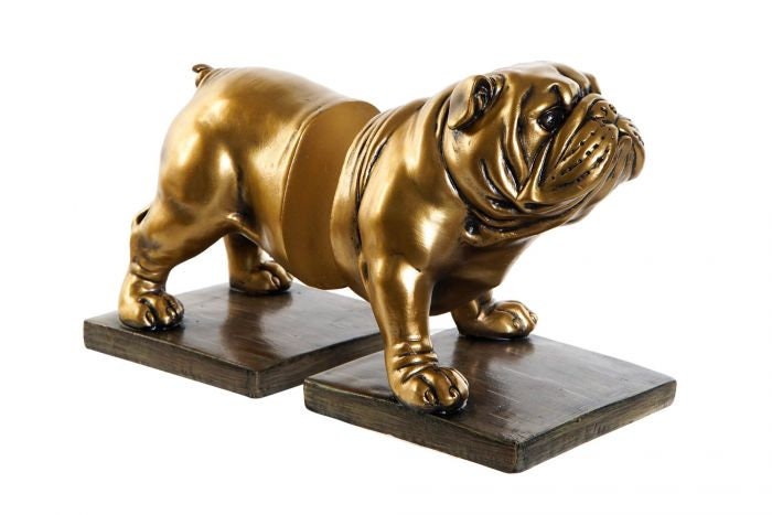 Serre-Livres Résine 11x12x14 Chien Doré