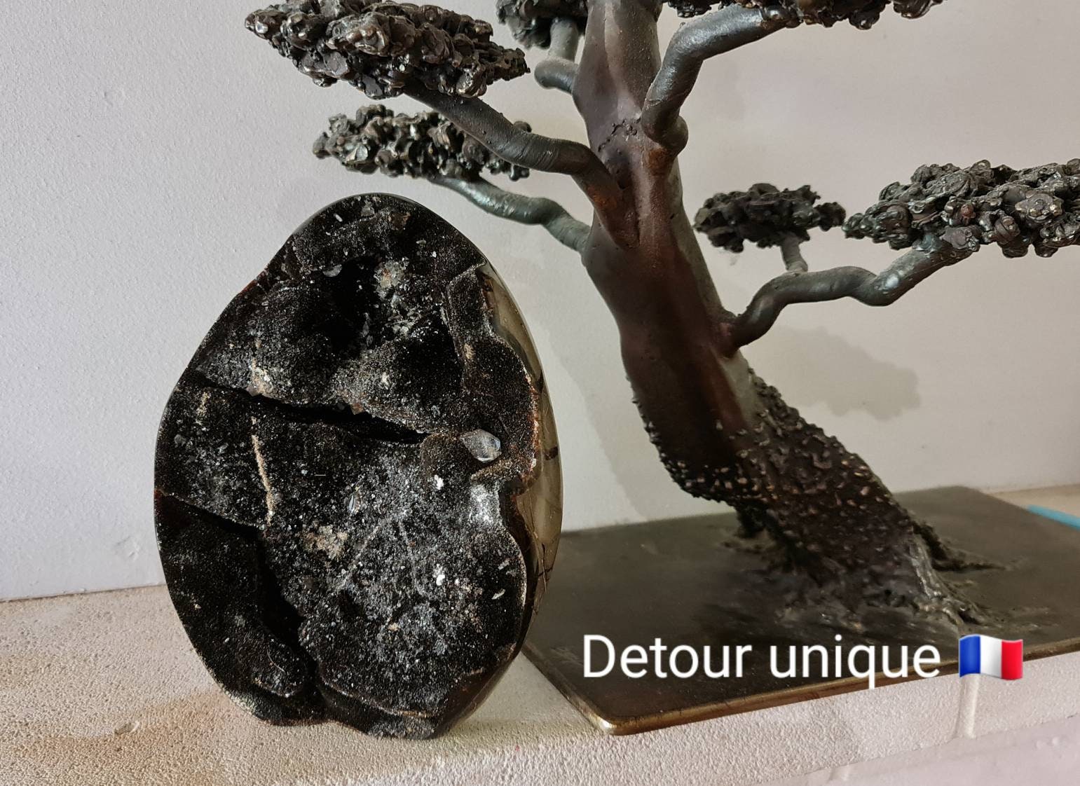 Sublime Oeuf de Septaria Sauvage +3Kg