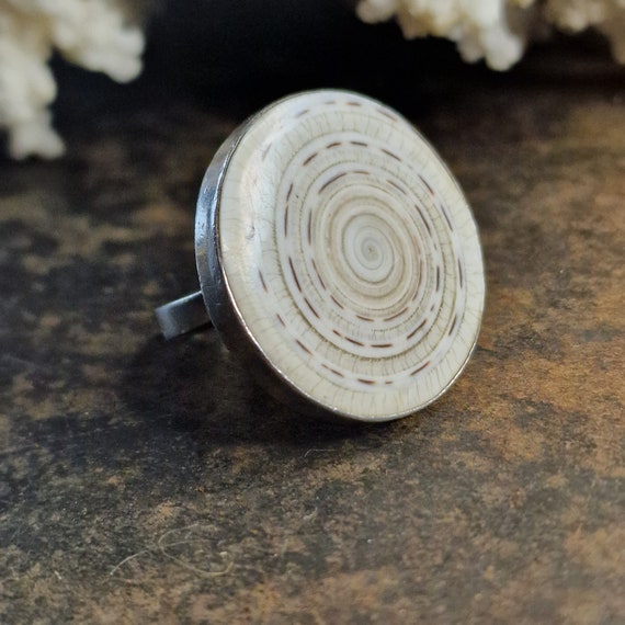 XXL shell ring 925 sterling silver, Shiva's eye, Indonesian shell, ethno, boho, tribal, layered jewelry