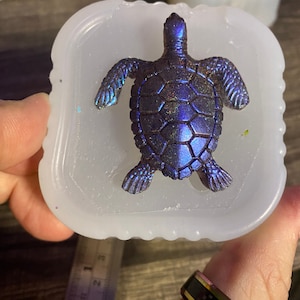 molde de tartaruga de 2 polegadas
