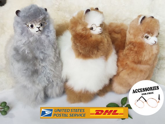 Alpaca peluche sales